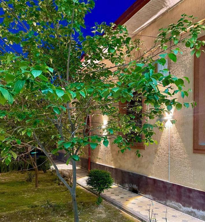Amor Fati Hotel Ташкент Екстериор снимка